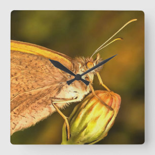 Meadow Brown BeSnyval Butterfly Art Fyrkantig Klocka