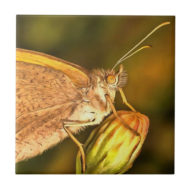 Meadow Brown BeSnyval Butterfly Art Kakelplatta (Framsidan)