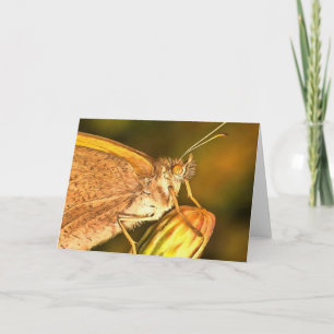 Meadow Brown BeSnyval Butterfly Art Kort