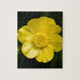 Meadow Butterkon Pussel