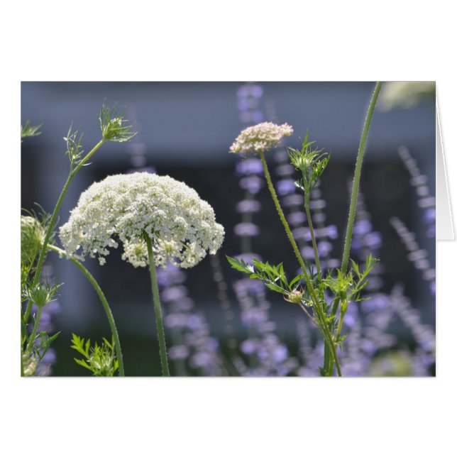 Meadow Flowers Hälsningskort (Framsidan Horizontal)