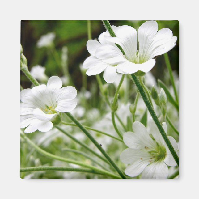 Meadow Flowers Magnet (Framsidan)