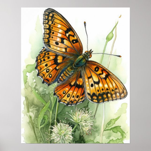 Meadow Fritillary Butterfly Art Print Poster (Framsidan)