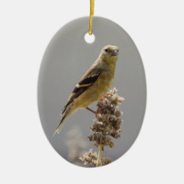 Meadow Goldfinch Julgransprydnad Keramik