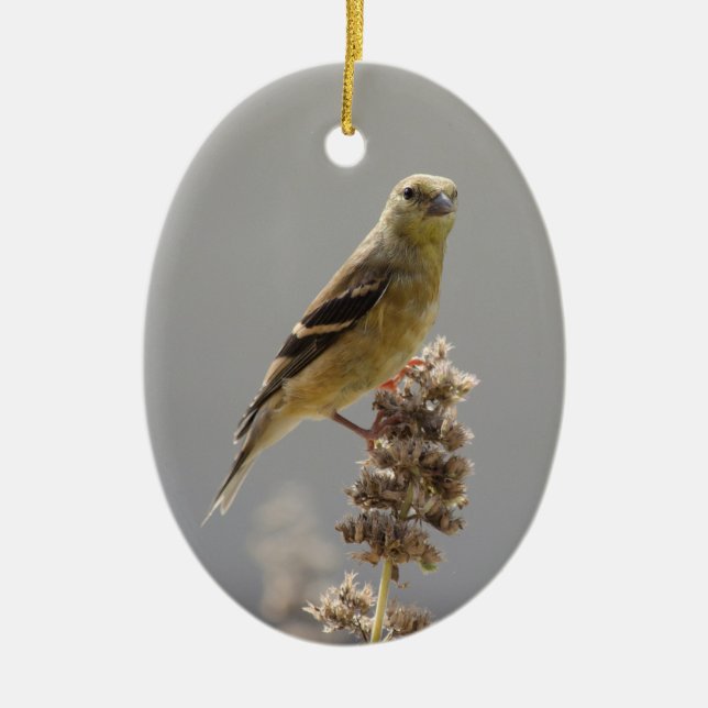 Meadow Goldfinch Julgransprydnad Keramik (Framsidan)
