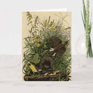Meadow Lark från Audubon's Birds of America Kort