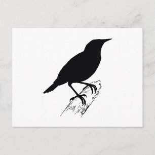 Meadow Lark Vykort