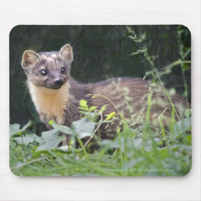 Meadow Marten Mousemat Musmatta (Framsidan)