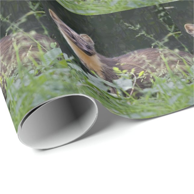 Meadow Marten Wrapping Papper Presentpapper (Rullad Hörn)