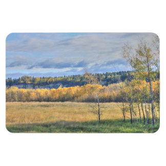 Meadow med Aspen Magnet