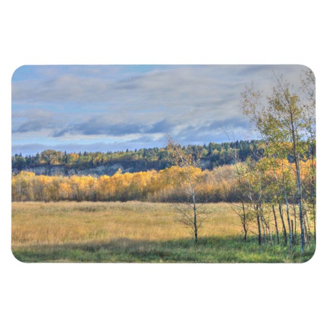 Meadow med Aspen Magnet (Horisontell)