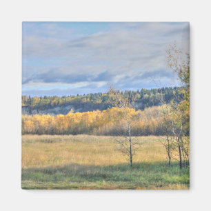 Meadow med Aspen Magnet