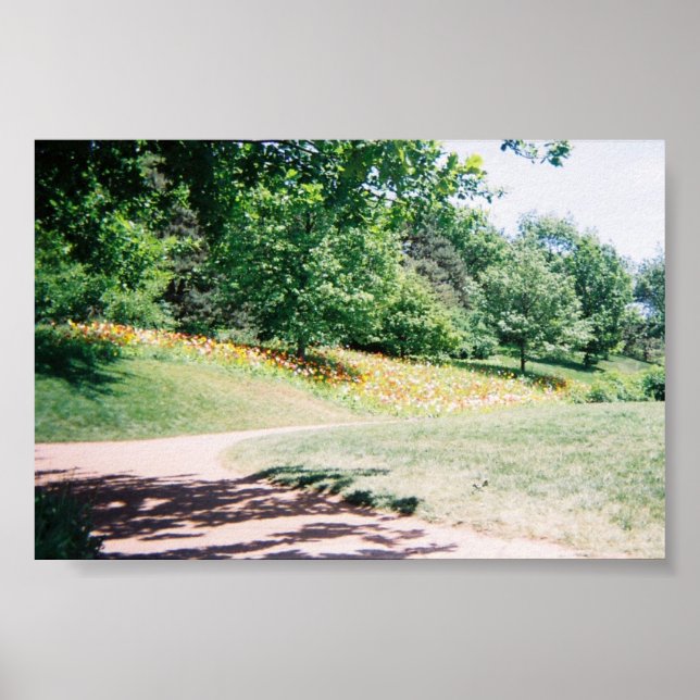 Meadow Poster (Framsidan)