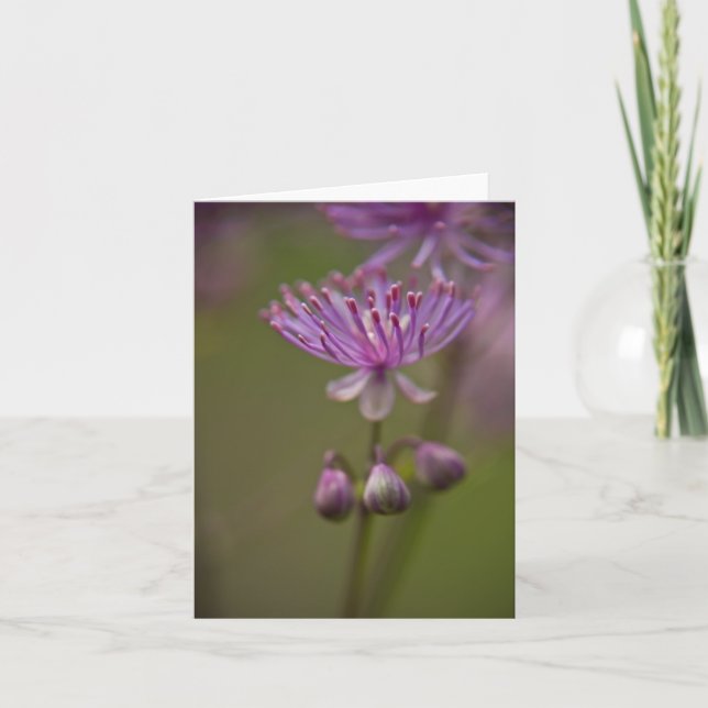 Meadow Rue Note-kort Kort (Framsida)