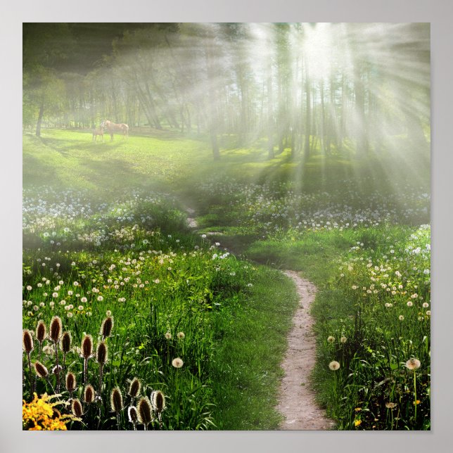 Meadow Trail Poster (Framsidan)