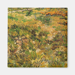 Meadow vid sjukhuset Saint Paul av Vincent van Gog Magnet