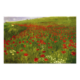 Meadow with Poppies (1896) Merse Pál Szinyei Fototryck
