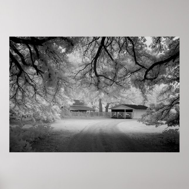 Meadowbank Farm Poster (Framsidan)