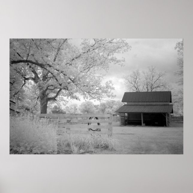 Meadowbank Farm Poster (Framsidan)