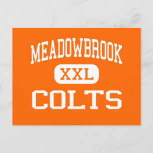Meadowbrook - Colts - High School - Byesville Ohio Vykort