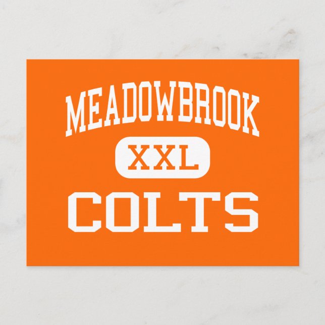 Meadowbrook - Colts - High School - Byesville Ohio Vykort (Framsida)