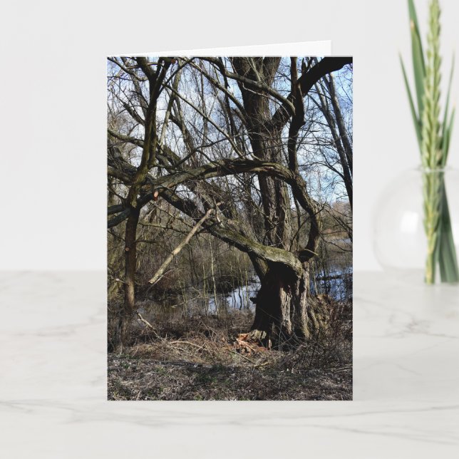 Meadowlands natur kort (Framsida)