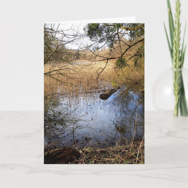 Meadowlands natur kort (Framsida)