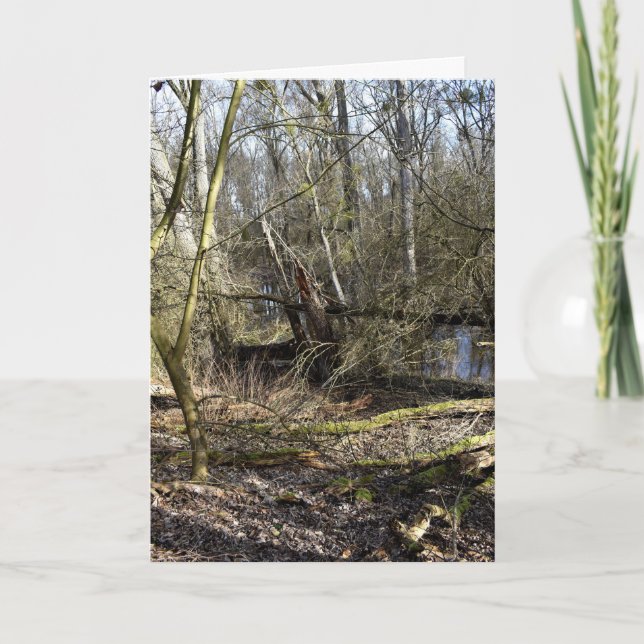 Meadowlands natur kort (Framsida)