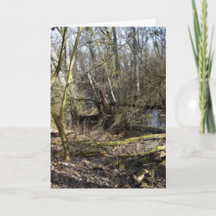 Meadowlands natur kort