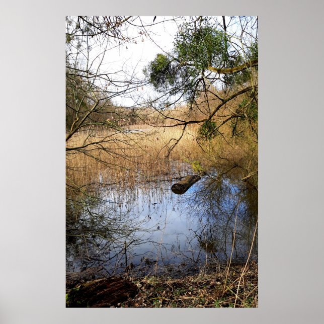 Meadowlands natur poster (Framsidan)