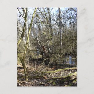 Meadowlands natur vykort