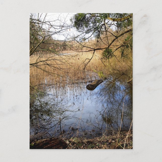 Meadowlands natur vykort (Framsida)