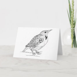 Meadowlark Kort