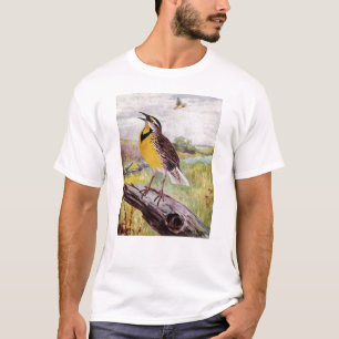 Meadowlark på en gren tee