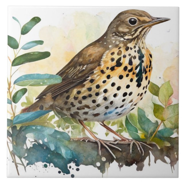 Meadowlark på en solid vit bakgrund på Gren Kakelplatta (Framsidan)