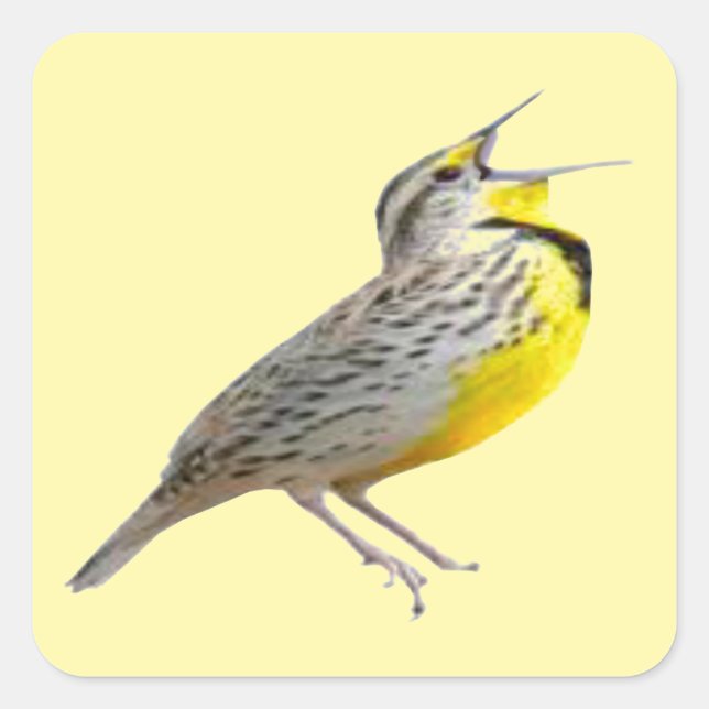 Meadowlark Stickers Fyrkantigt Klistermärke (Framsida)