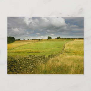 Meadows and Walls Vykort