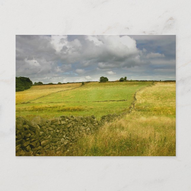 Meadows and Walls Vykort (Framsida)