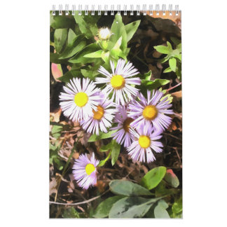 Meadows in Bloom 1 Year Calendar Kalender