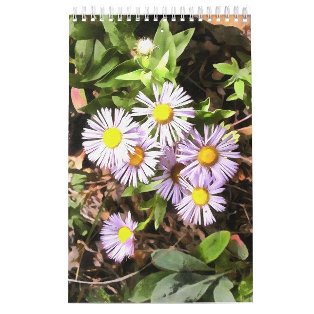 Meadows in Bloom 1 Year Calendar Kalender (Omslag)