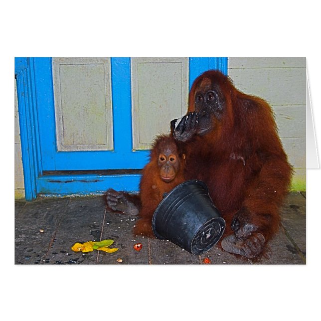 Mealtime med Mamma Orangutan Hälsningskort (Framsidan Horizontal)