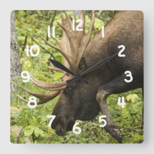 Meandering Moose Fyrkantig Klocka