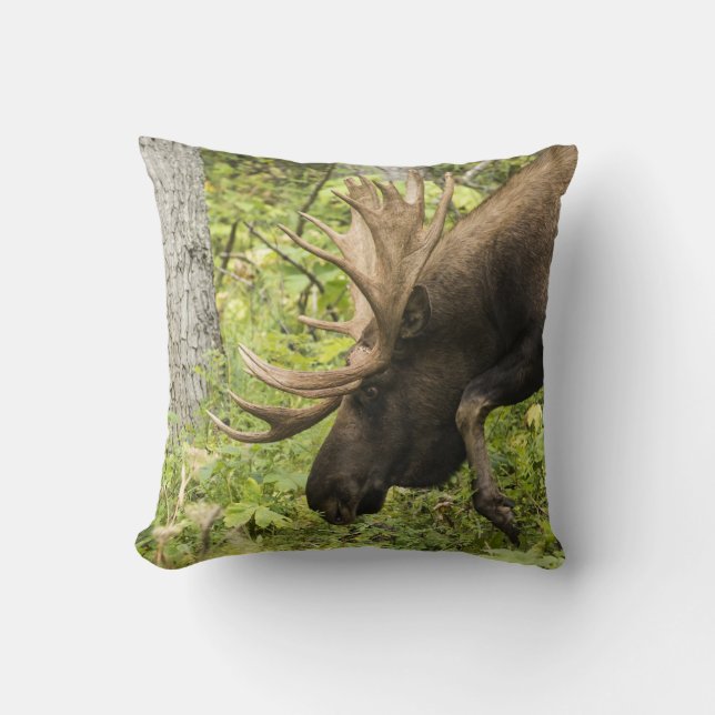 Meandering Moose Kudde (Framsida)