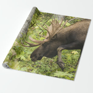 Meandering Moose Presentpapper