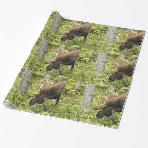 Meandering Moose Presentpapper