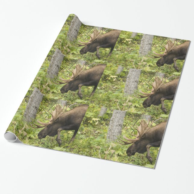 Meandering Moose Presentpapper (Utrullad)