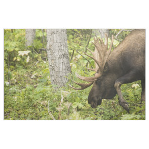 Meandering Moose Tyg