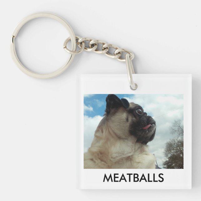 MEATBALLS (Framsidan)