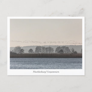 Mecklenburg-Vorpommern Vykort