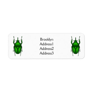 Mecynorhina torquata kryp tecknad illustration returadress etikett